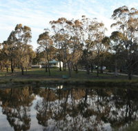 Greysen Farmstay - Accommodation Port Macquarie