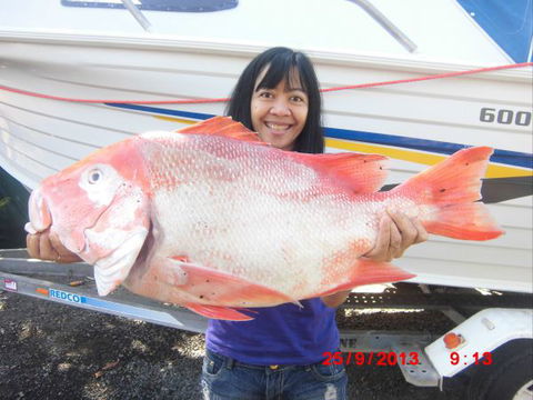Flying Fish Point Tourist Park - Accommodation Port Macquarie 6