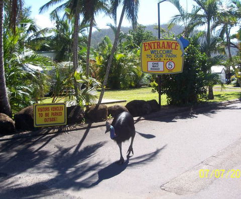 Flying Fish Point Tourist Park - Accommodation Port Macquarie 9