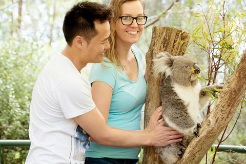 Mt Lofty YHA - Accommodation Port Macquarie 6