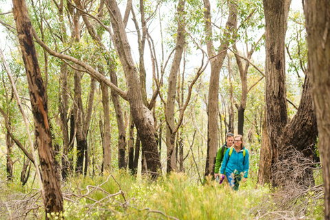 Mt Lofty YHA - Accommodation Port Macquarie 8