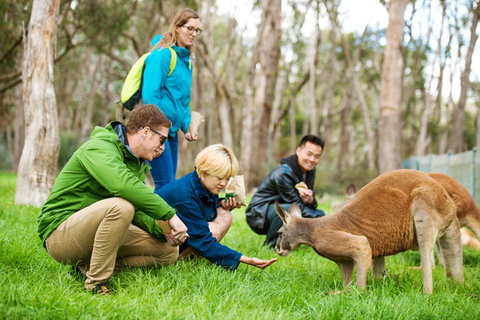 Mt Lofty YHA - Accommodation Port Macquarie 7