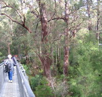 Walpole YHA - Accommodation Port Macquarie