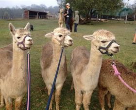 Bunyip Springs Farmstay - Accommodation Port Macquarie 1