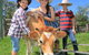 Bunyip Springs Farmstay - thumb 2