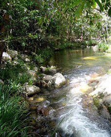 Sweetwater Lodge - Accommodation Port Macquarie 3