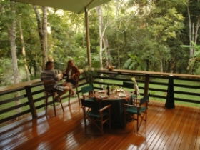 Cedar Park Rainforest Resort - Accommodation Port Macquarie 3