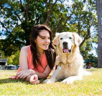 Jacobs Well Tourist Park - Accommodation Port Macquarie