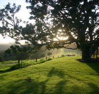 Kilfeacle Farm Cottage - Accommodation Port Macquarie
