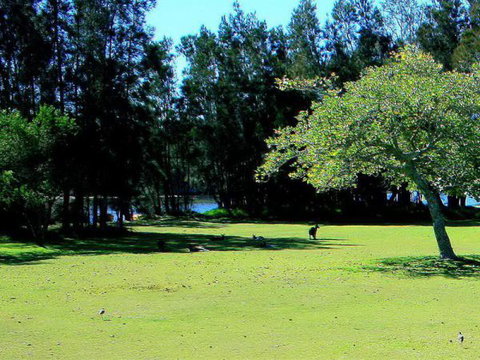 Lake Conjola Waterfront Holiday Park - Accommodation Port Macquarie 2