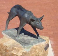 The Ardlethan Kelpie Caravan Park - Accommodation Port Macquarie