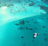 Ocean Free and Ocean Freedom - Cairns Premier Reef and Island Tours - Accommodation Port Macquarie
