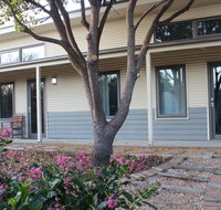 The Grape and Olive in Willunga - Accommodation Port Macquarie