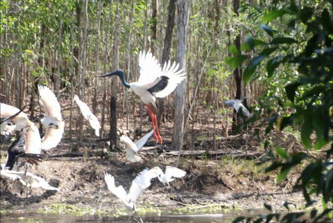 Rakhi Retreat - Accommodation Port Macquarie 0