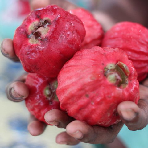 Rakhi Retreat - Accommodation Port Macquarie 5