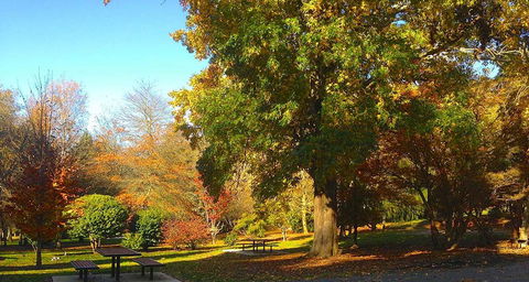 Eastern Dandenong Ranges Visitor Information Centre - Accommodation Port Macquarie 1