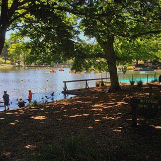 Eastern Dandenong Ranges Visitor Information Centre - Accommodation Port Macquarie 4