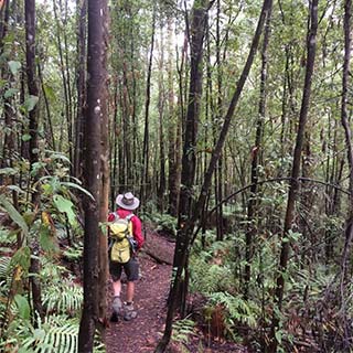 Eastern Dandenong Ranges Visitor Information Centre - Accommodation Port Macquarie 11