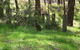 Mount Cole Cottages - thumb 7