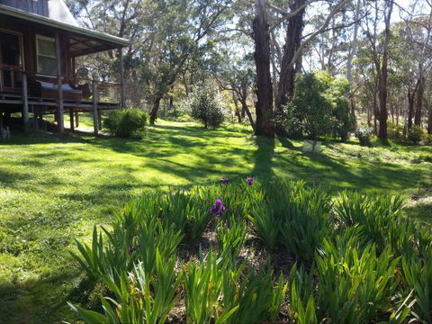 Mount Cole Cottages - Accommodation Port Macquarie 8