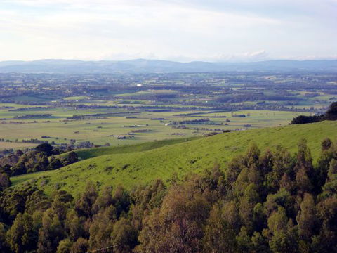 Anderley - Accommodation Port Macquarie 6