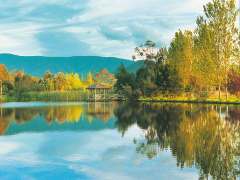 Kingbilli - Accommodation Port Macquarie 0