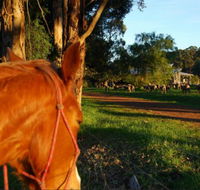Billa Billa Farm Cottages - Accommodation Port Macquarie
