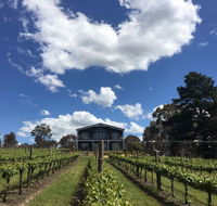 Mortimer's Accommodation amongst the Vines - Accommodation Port Macquarie