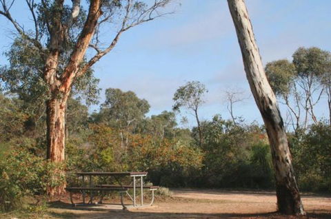 Drummonds Camp At Avon Valley National Park - Accommodation Port Macquarie 0