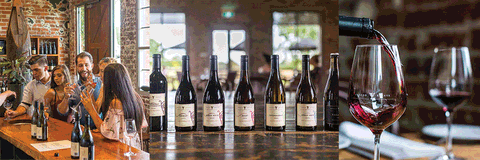 Trofeo Estate - Accommodation Port Macquarie 1