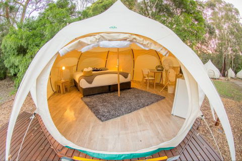 Yarra Valley Park Lane Glamping Belle Tents - Accommodation Port Macquarie 8