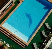 Pacific International Hotel - Accommodation Port Macquarie
