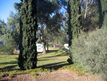 Rivers Edge Caravan Park - Accommodation Port Macquarie 1