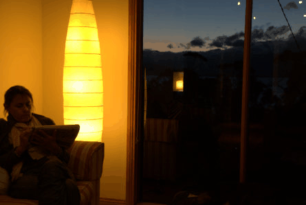 The Tree House - Accommodation Port Macquarie 2