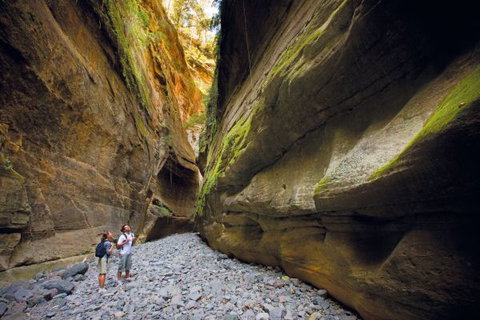 Carnarvon National Park Camping - Accommodation Port Macquarie 4