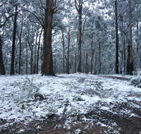 High Peaks Cottages - Accommodation Port Macquarie