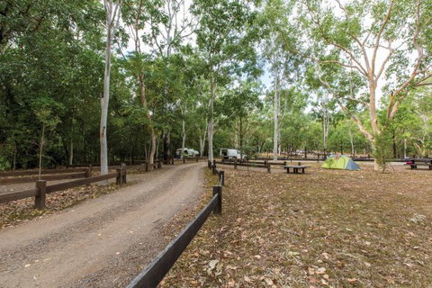 Carnarvon National Park Camping - Accommodation Port Macquarie 1