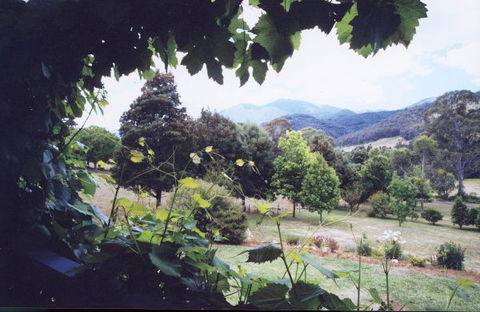 Springfield Cottage Bed & Breakfast - Accommodation Port Macquarie 1