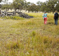 Carnarvon National Park camping - Accommodation Port Macquarie