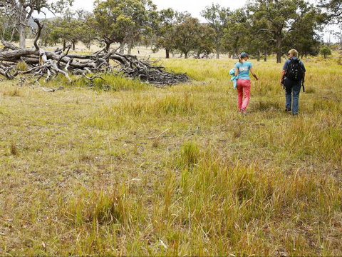 Carnarvon National Park Camping - Accommodation Port Macquarie 0