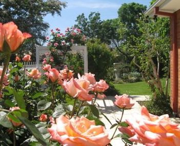 The Clarenton - Accommodation Port Macquarie 0