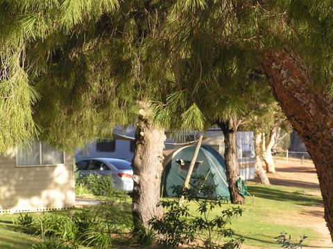 Barmera North Lake Caravan Park - Accommodation Port Macquarie 0