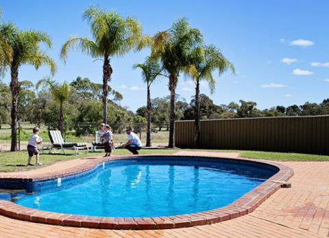 Barmera Country Club Motor Inn - Accommodation Port Macquarie 3