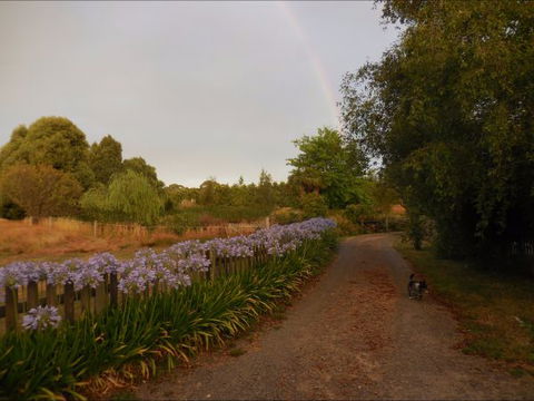 Bunjil Farm - Accommodation Port Macquarie 5