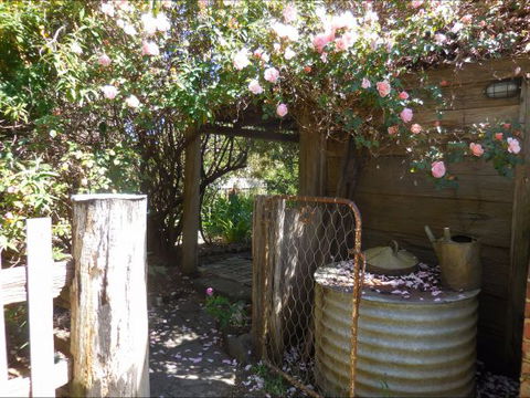 Bunjil Farm - Accommodation Port Macquarie 7