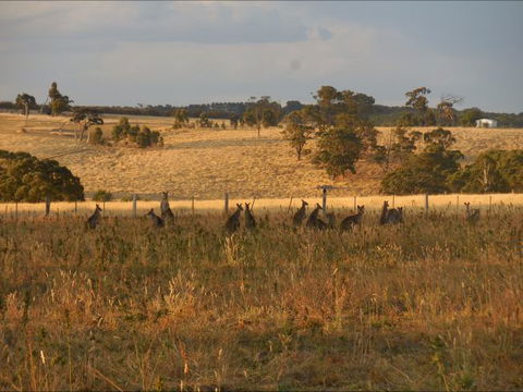 Bunjil Farm - Accommodation Port Macquarie 8