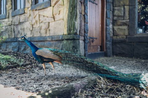 Castle Suites - Kryal Castle - Accommodation Port Macquarie 5