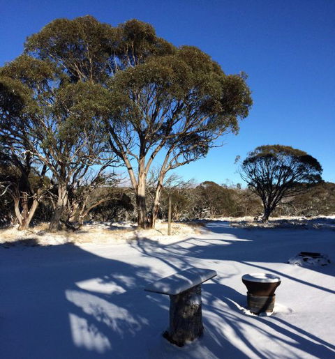 Cloud 9 Alpine Lodge - Accommodation Port Macquarie 9