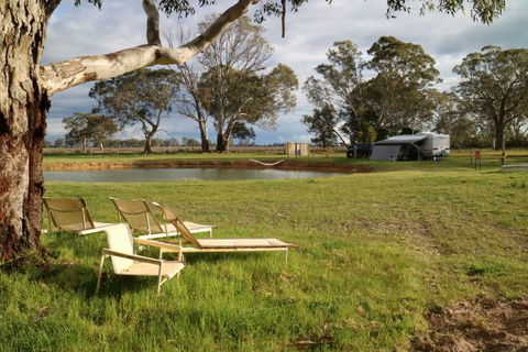 Coonawarra Bush Holiday Park - Accommodation Port Macquarie 4