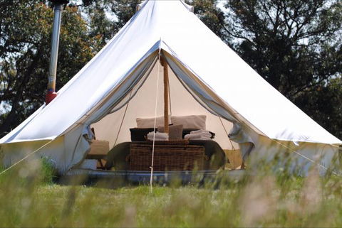 Cosy Tents - Accommodation Port Macquarie 4